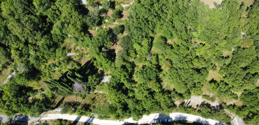 Zemljište ukupne površine 8124m2 s objektom  , Sutorina