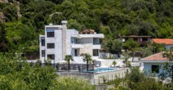 Vila White Olive s pogledom na more-Djenovići