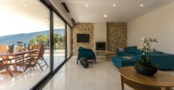 Vila White Olive s pogledom na more-Djenovići