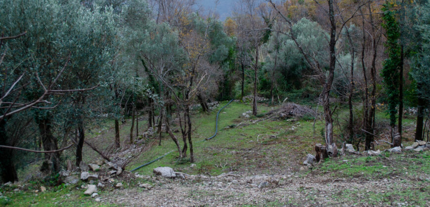 Parcele s UT uslovima ukupne površine 5638m2, Mojdež