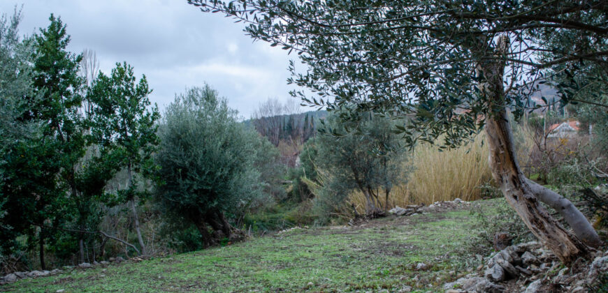 Parcele s UT uslovima ukupne površine 5638m2, Mojdež