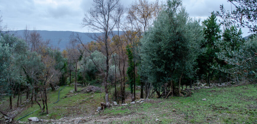 Parcele s UT uslovima ukupne površine 5638m2, Mojdež