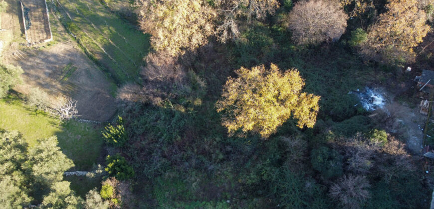 Neurbanizovano zemljište 903m2 , Srbina ,Herceg Novi