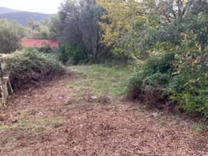 1a plot w building permit