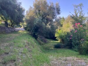 5gate from within and parking 1